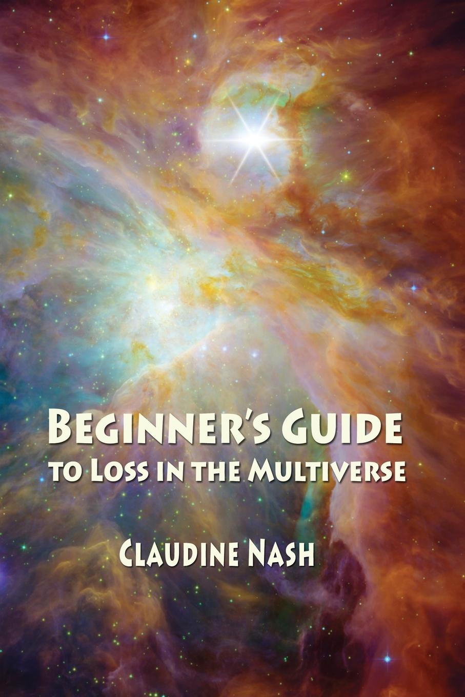 Vorderes Coverbild Beginner's Guide to Loss in the Multiverse