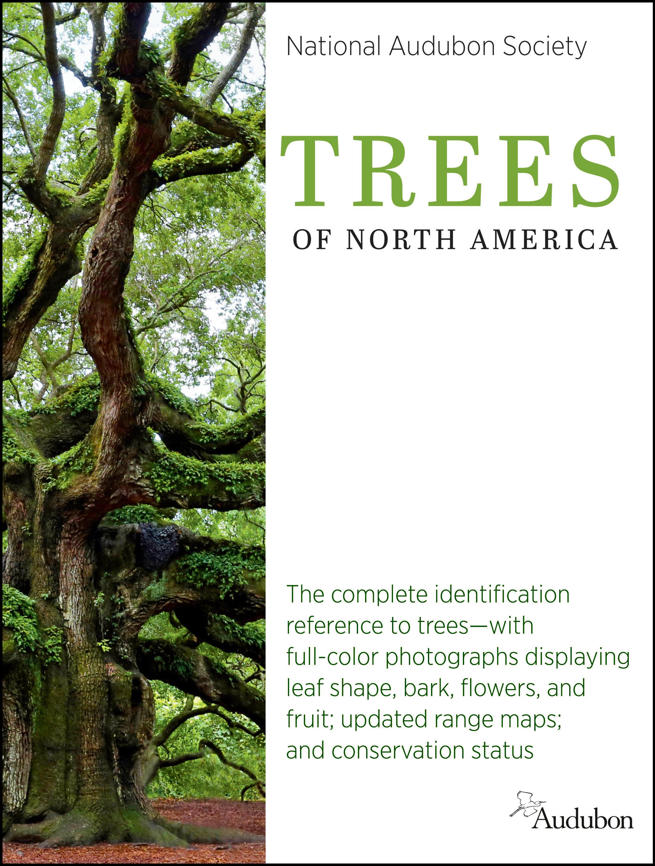 Vorderes Coverbild National Audubon Society Trees of North America