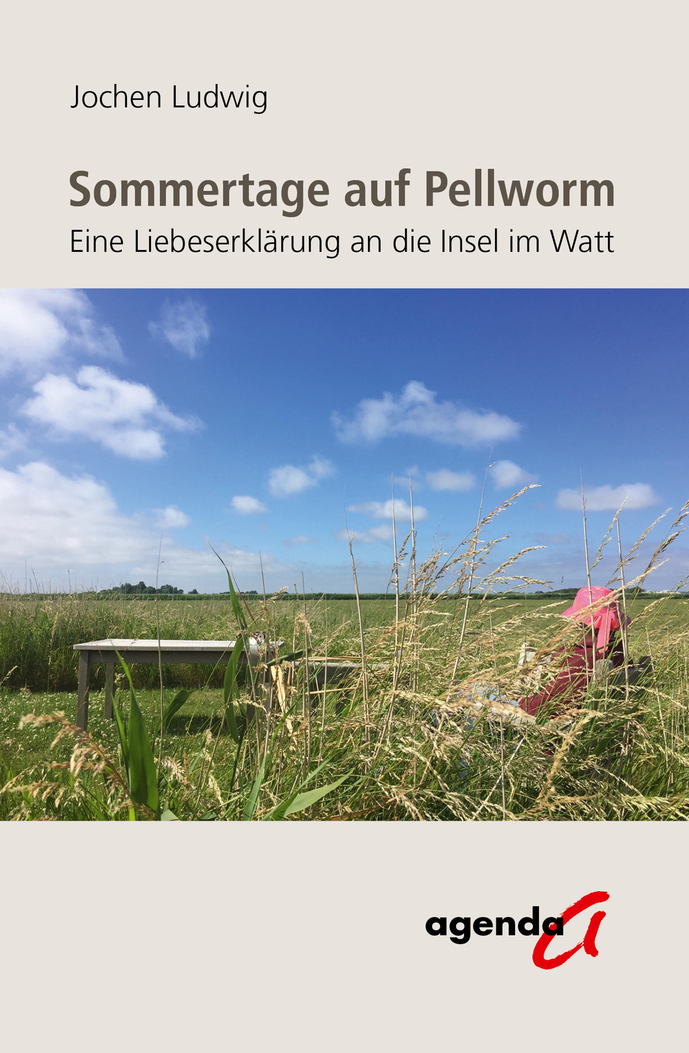 Vorderes Coverbild Sommertage auf Pellworm
