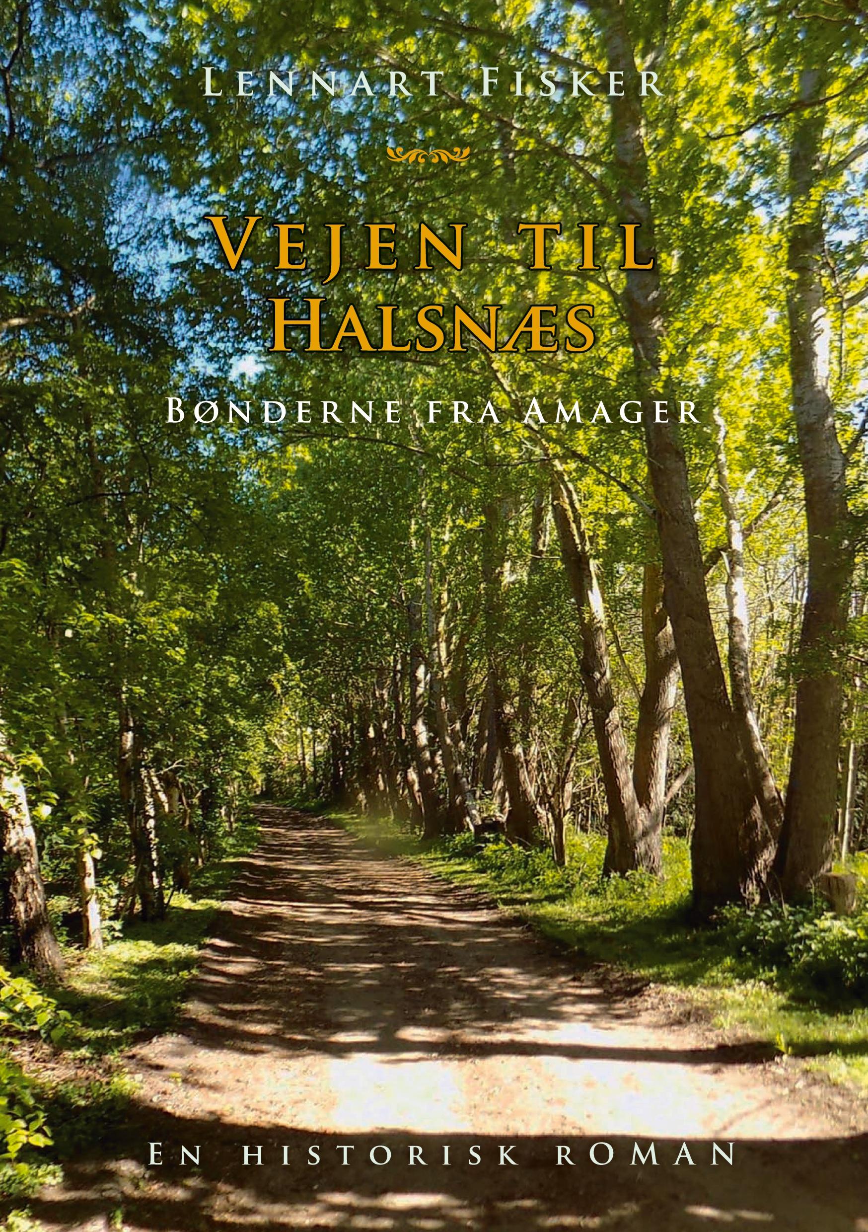 Vorderes Coverbild Vejen til Halsnæs