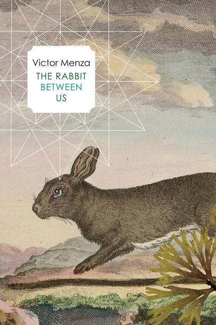 Vorderes Coverbild The Rabbit Between Us