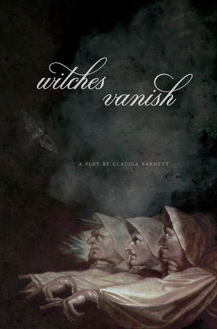 Vorderes Coverbild Witches Vanish