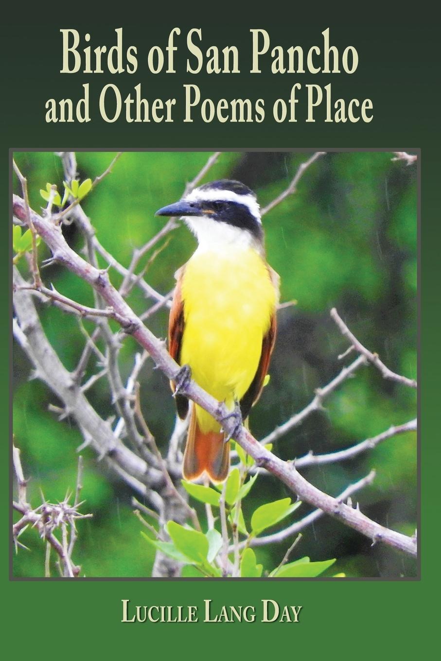 Vorderes Coverbild Birds of San Pancho and Other Poems of Place