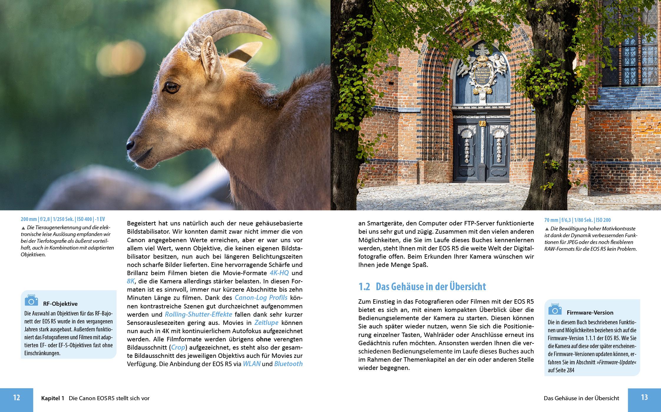 Beispielinhalt (Bild) Canon EOS R5