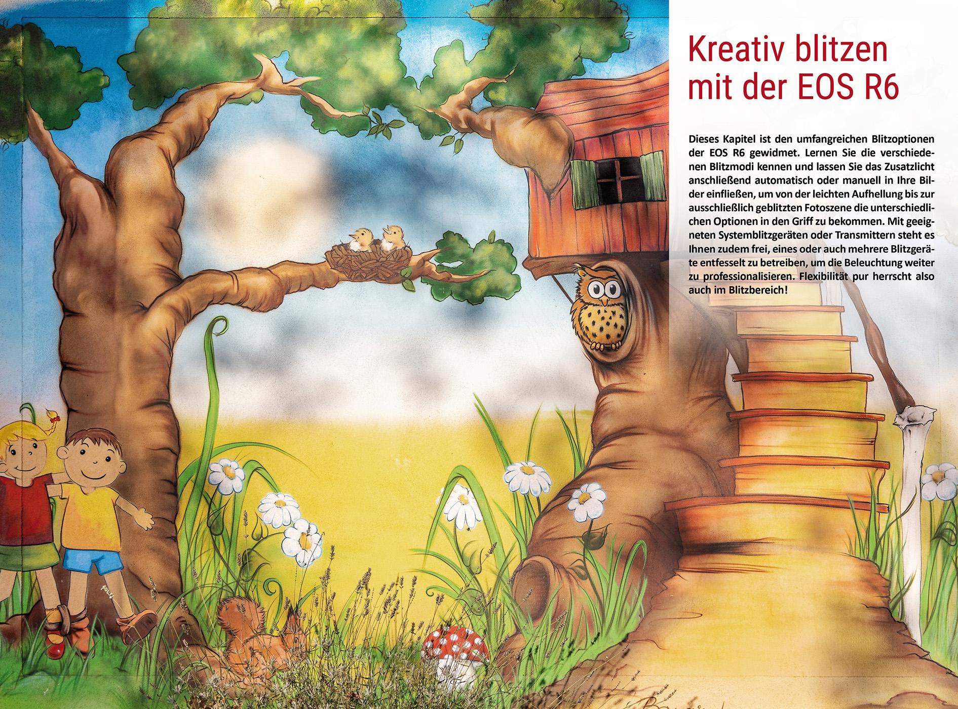 Beispielinhalt (Bild) Canon EOS R6