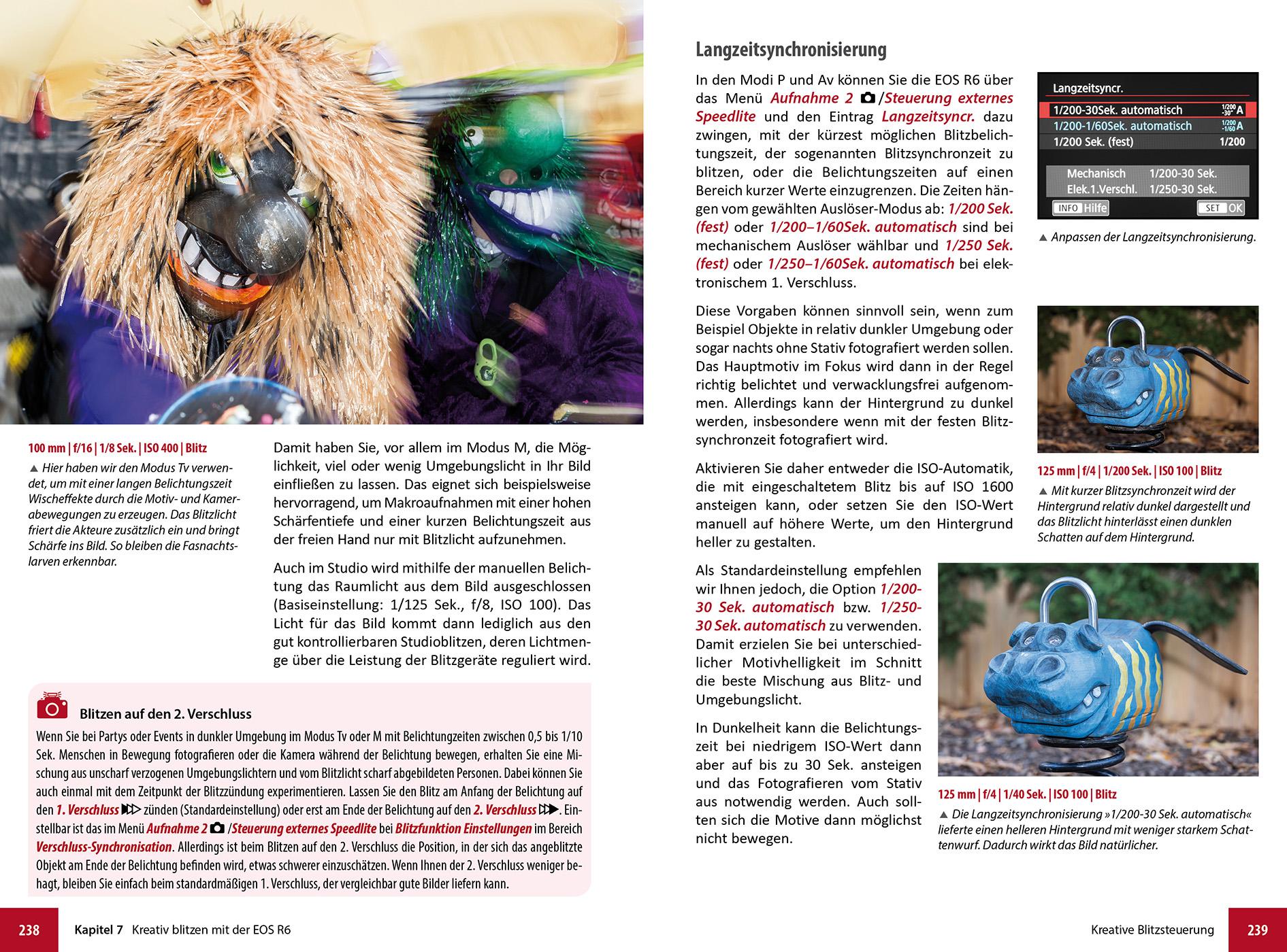 Beispielinhalt (Bild) Canon EOS R6