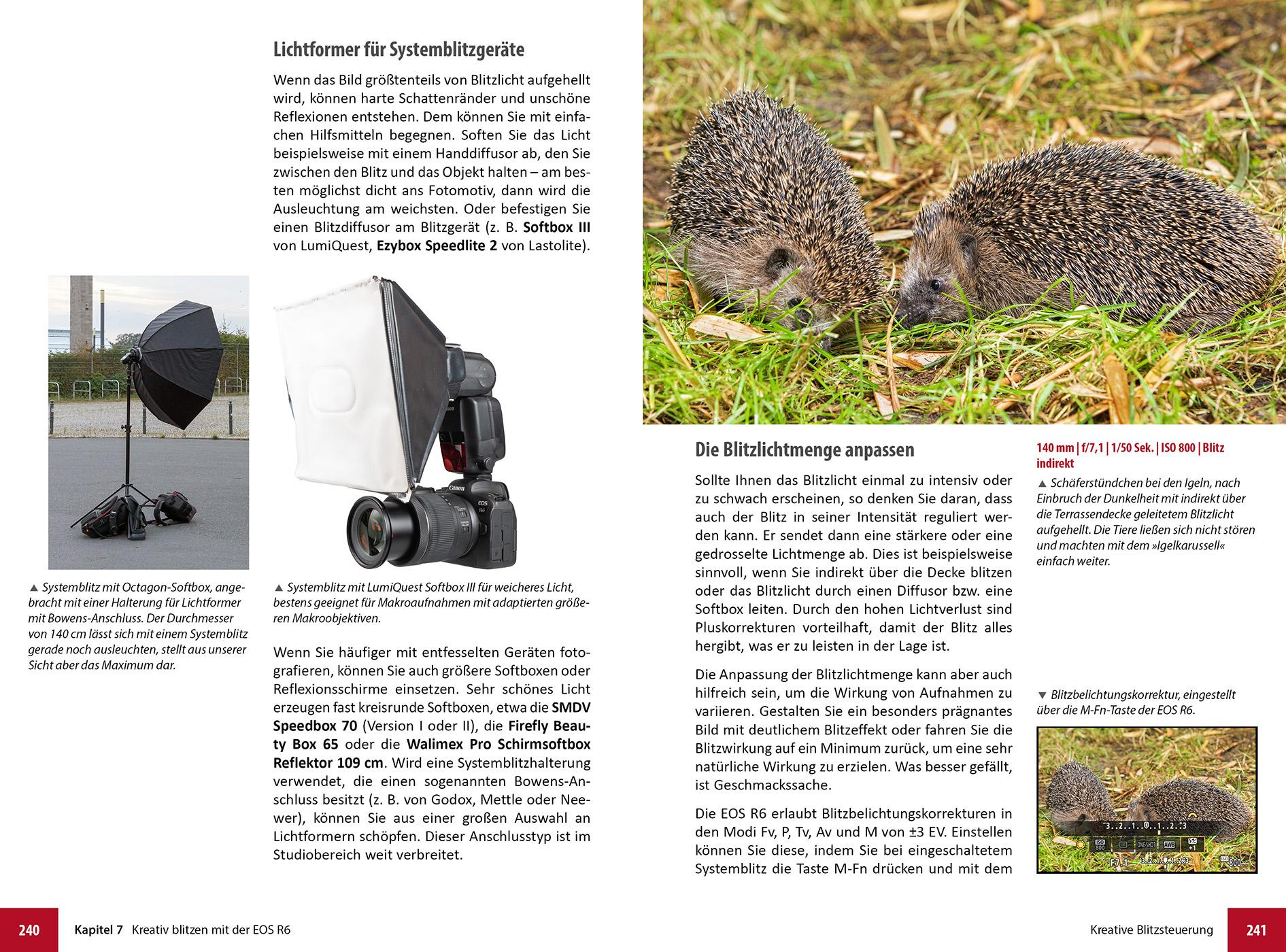 Beispielinhalt (Bild) Canon EOS R6