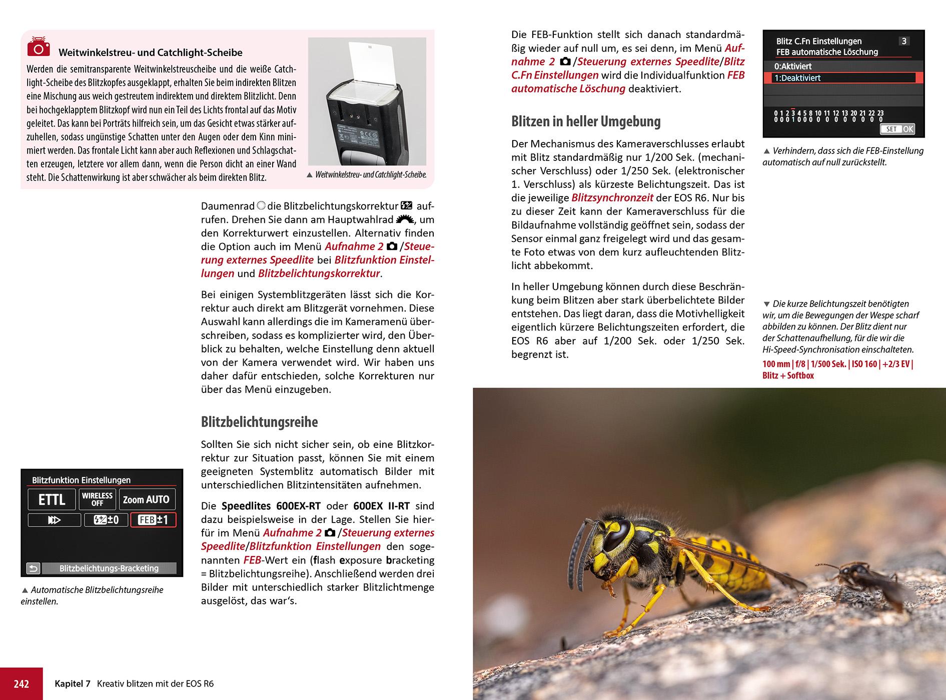 Beispielinhalt (Bild) Canon EOS R6