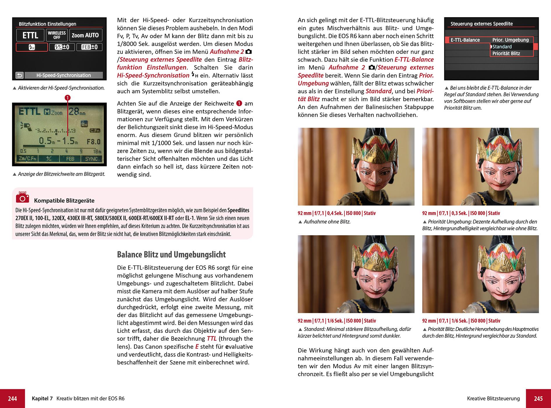 Beispielinhalt (Bild) Canon EOS R6