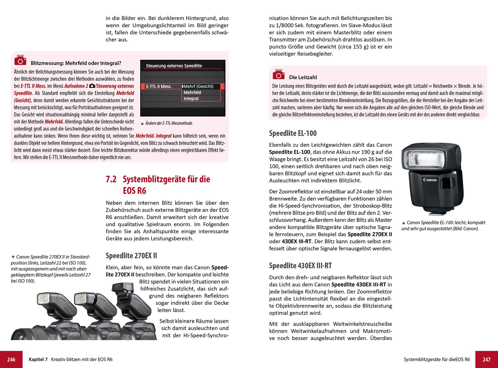 Beispielinhalt (Bild) Canon EOS R6