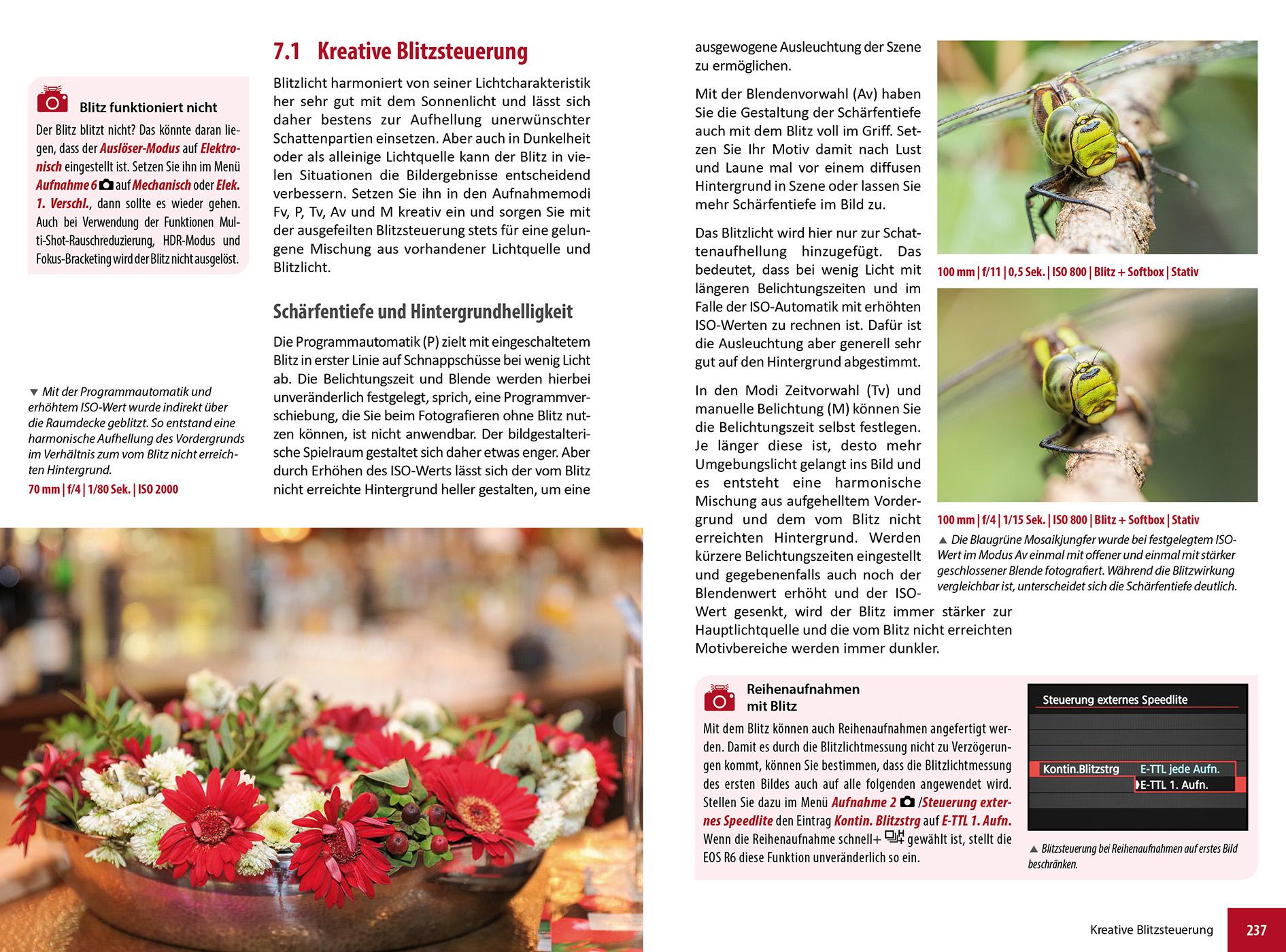 Beispielinhalt (Bild) Canon EOS R6