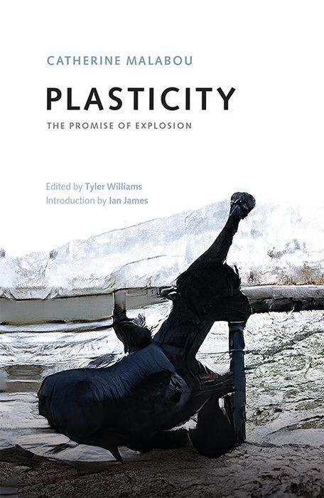 Vorderes Coverbild Plasticity