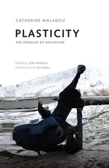Vorderes Coverbild Plasticity