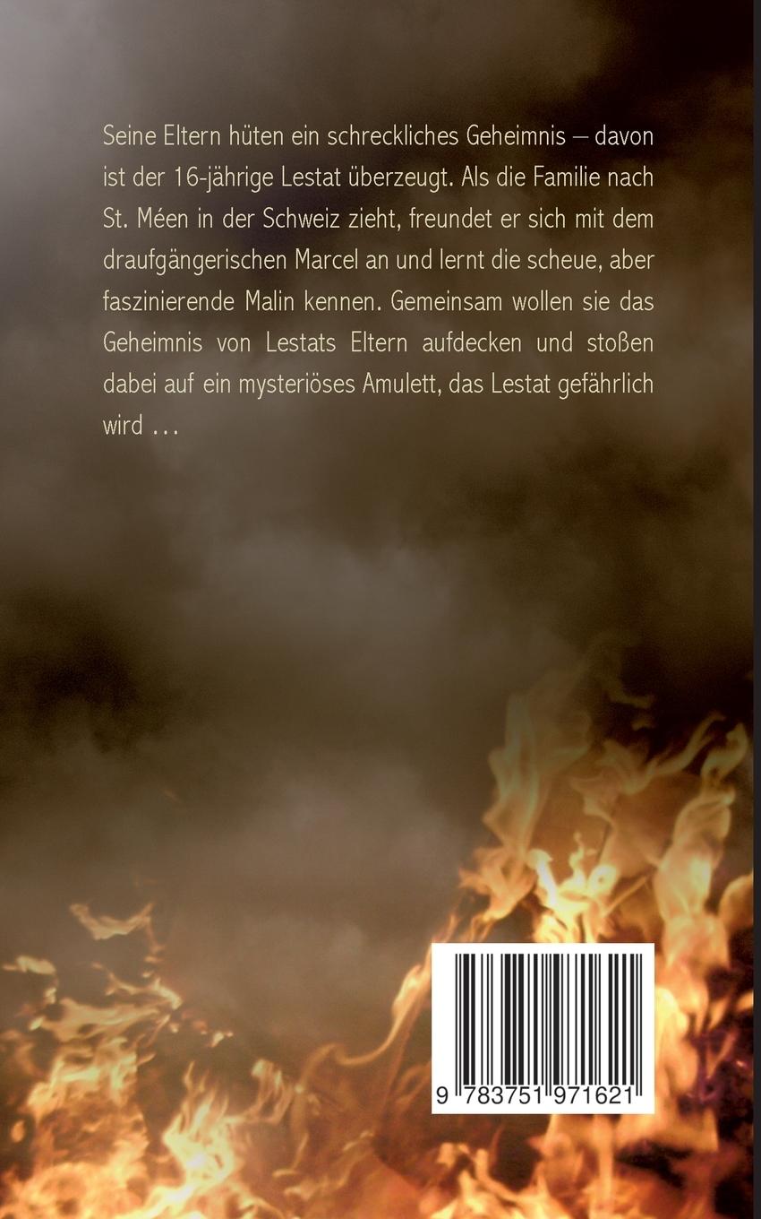 Rückseitencover Feuer, Blut und Licht