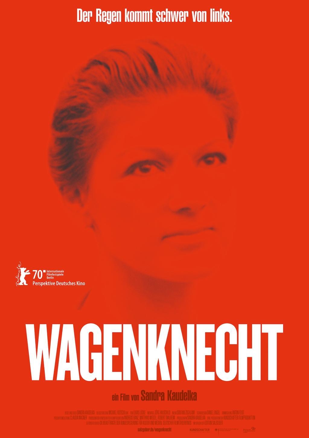Vorderes Coverbild Wagenknecht