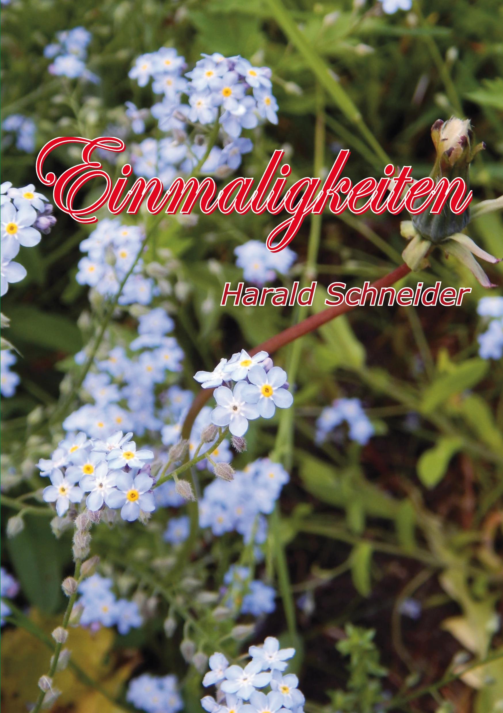 Vorderes Coverbild Einmaligkeiten