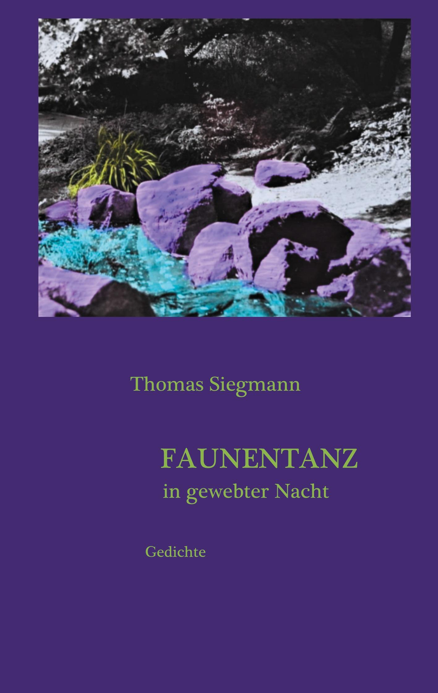 Vorderes Coverbild Faunentanz in gewebter Nacht