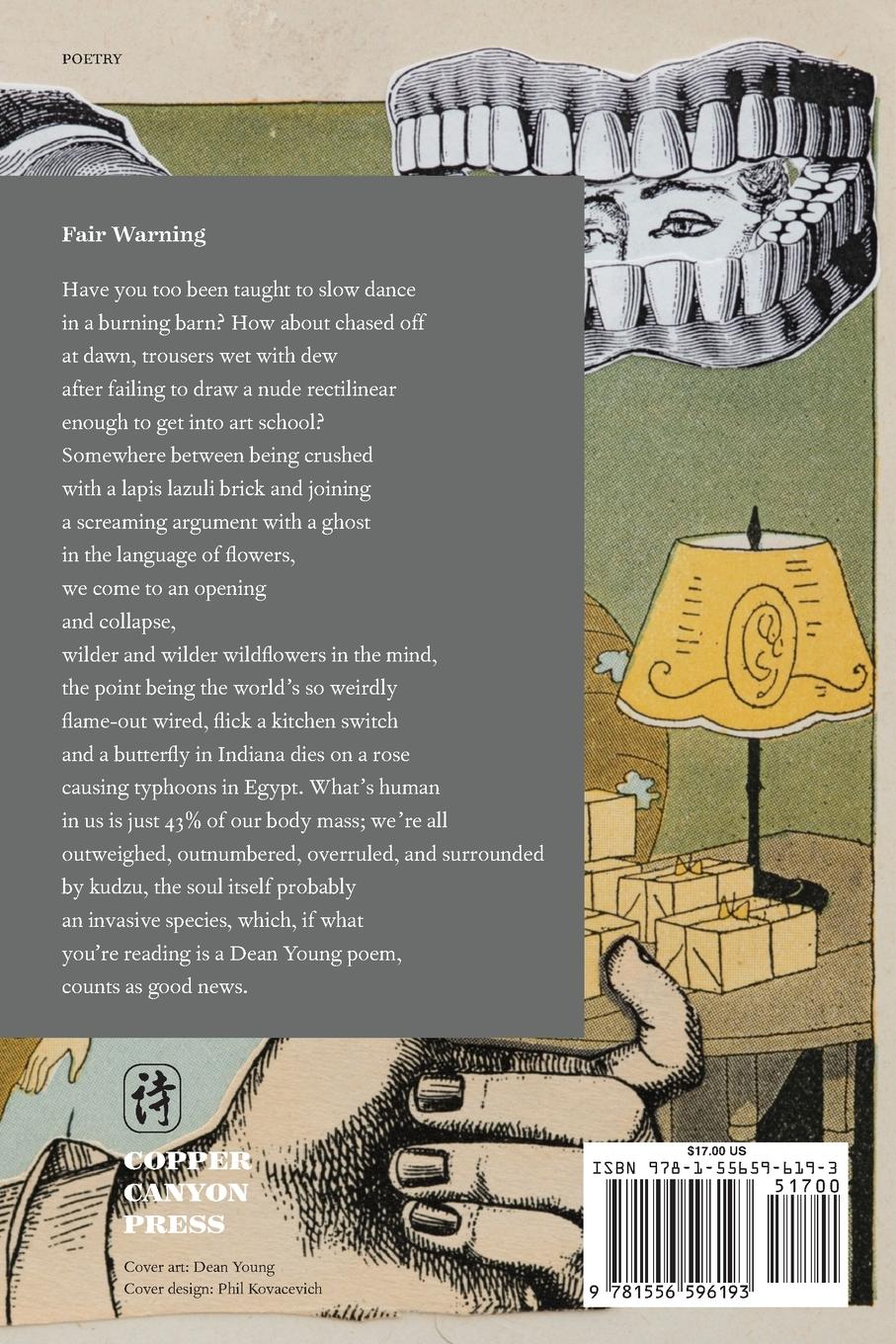 Rückseitencover Solar Perplexus