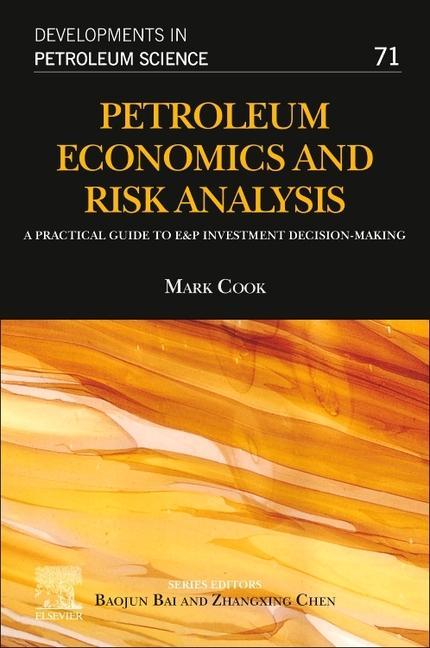 Vorderes Coverbild Petroleum Economics and Risk Analysis