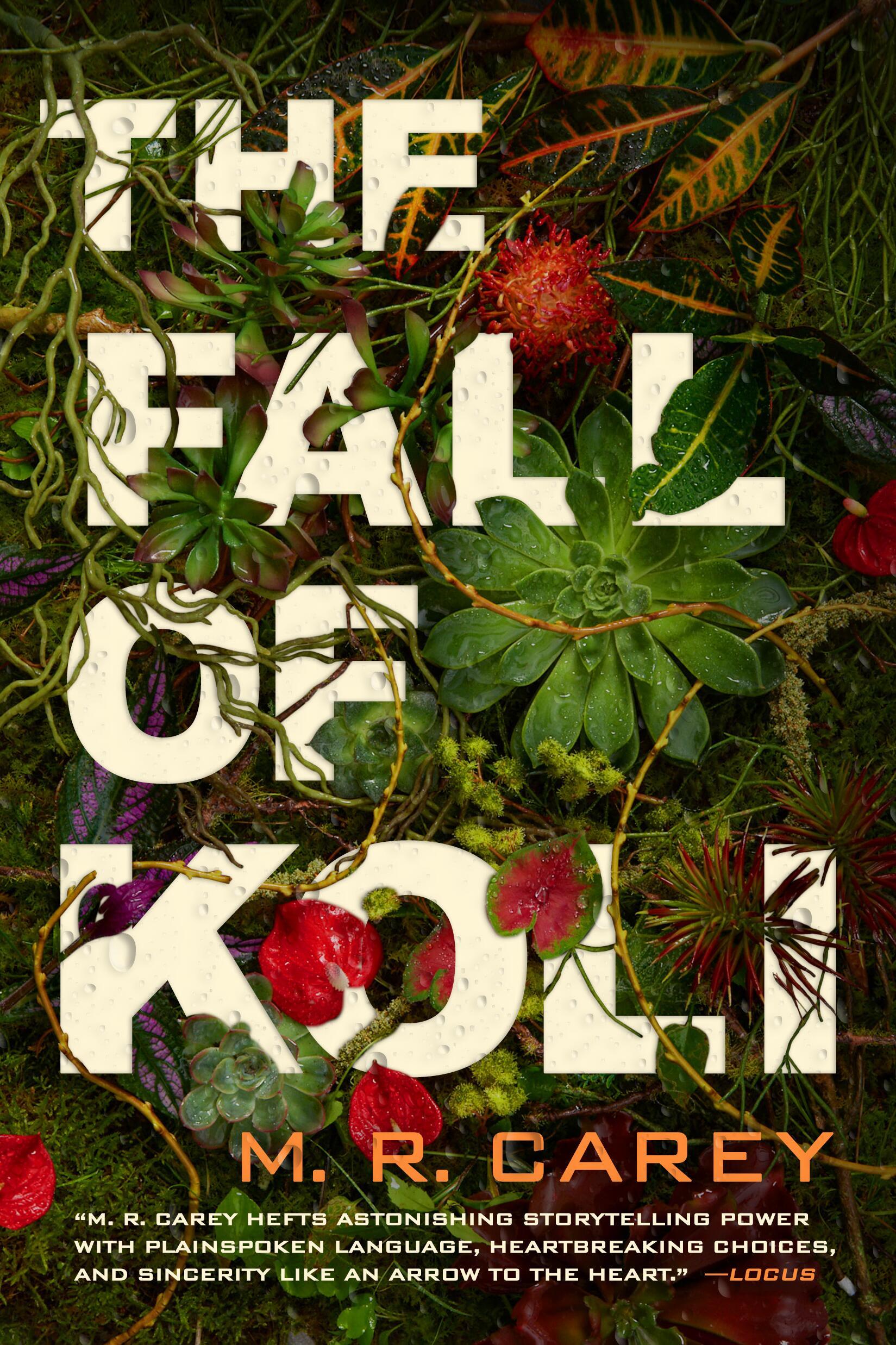 Vorderes Coverbild The Fall of Koli