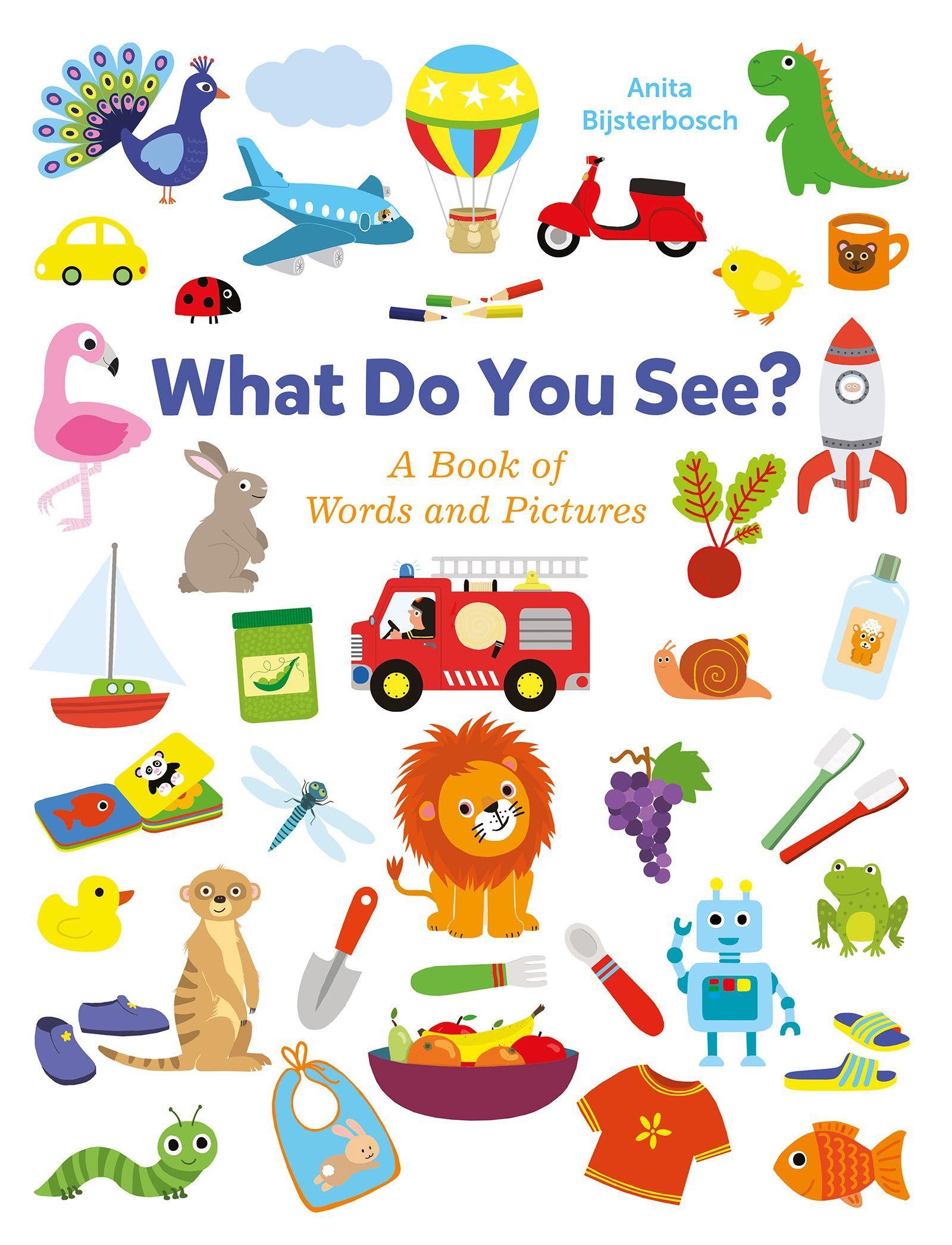Vorderes Coverbild What Do You See? a Book Full of Words and Pictures