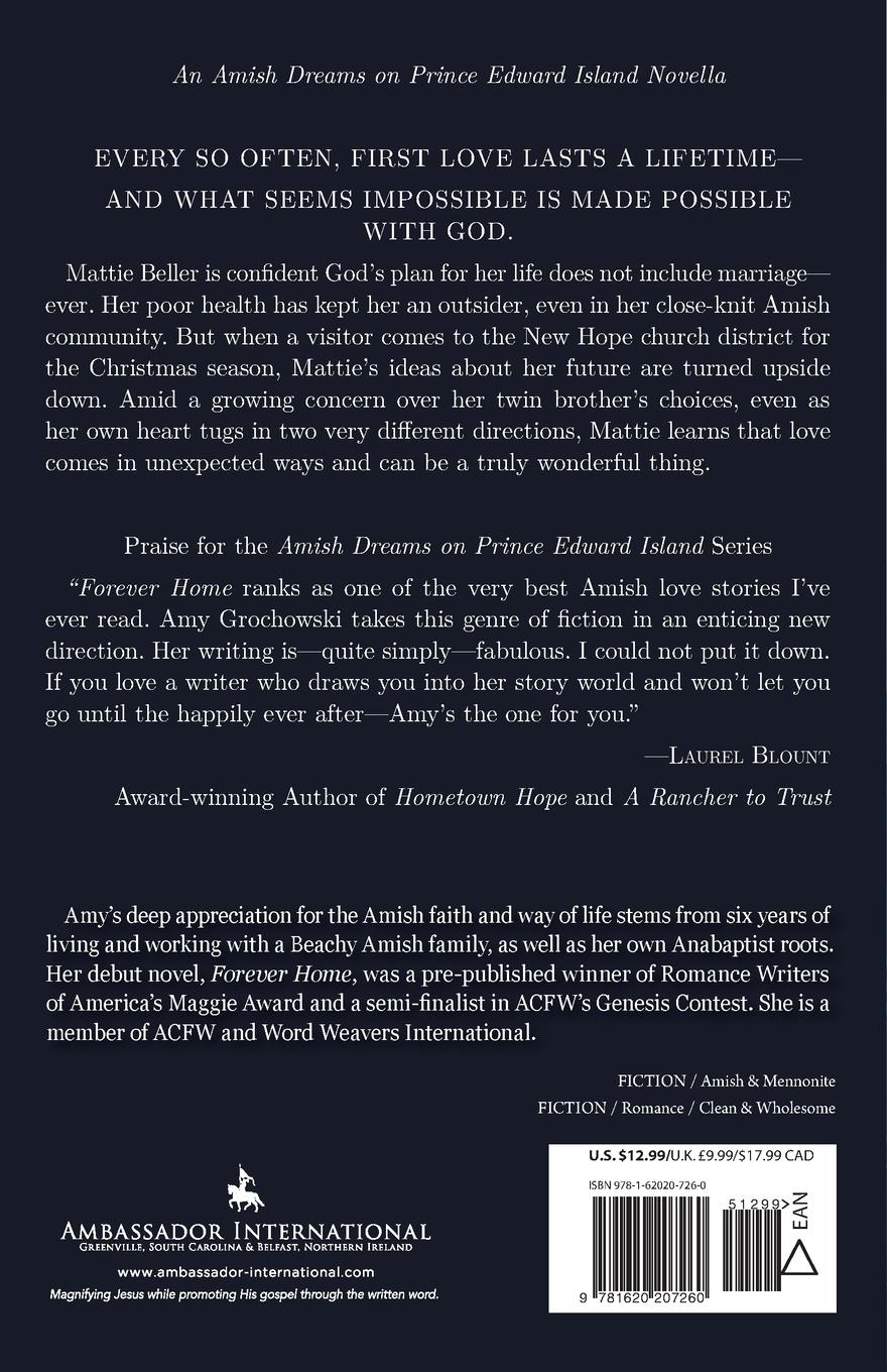 Rückseitencover The Christmas Visitor