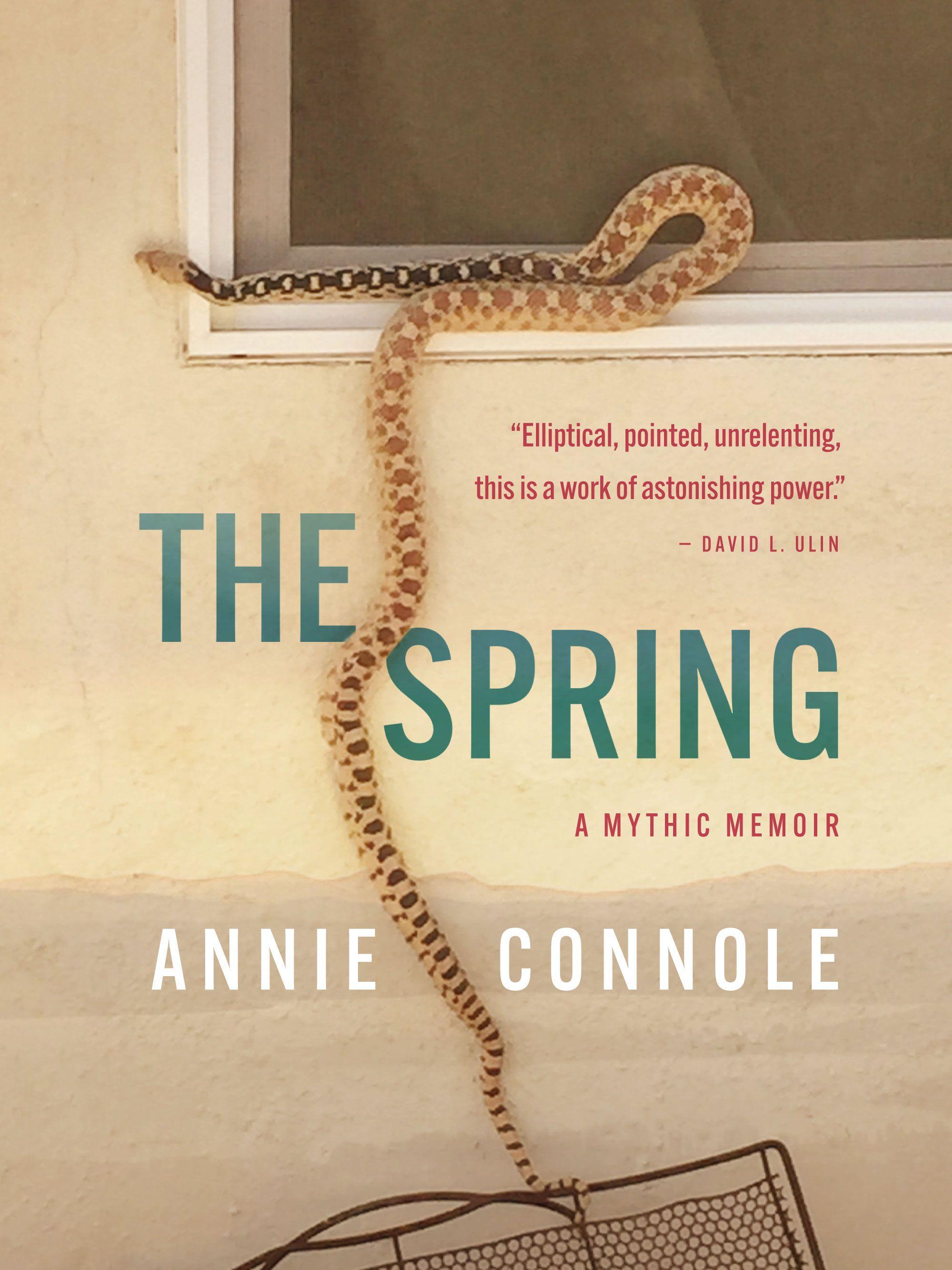 Vorderes Coverbild The Spring