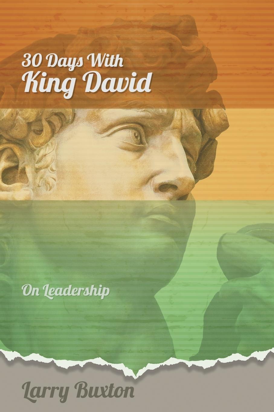 Vorderes Coverbild Thirty Days With King David