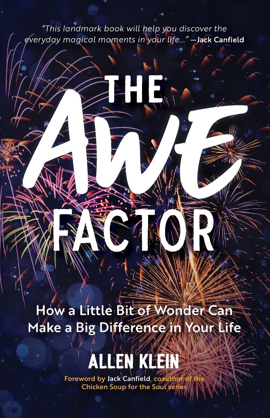 Vorderes Coverbild The Awe Factor