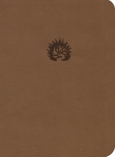 Vorderes Coverbild Lbla La Biblia de Estudio de la Reforma, Símil Piel, Café Claro, Spanish Edition