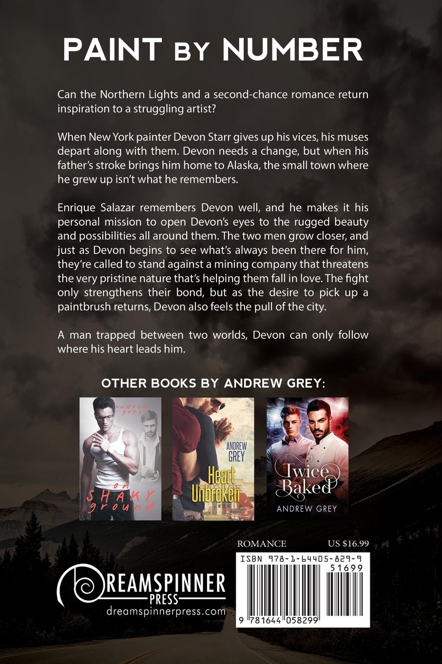 Rückseitencover Paint by Number