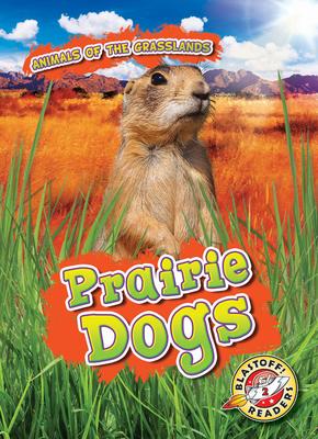 Vorderes Coverbild Prairie Dogs