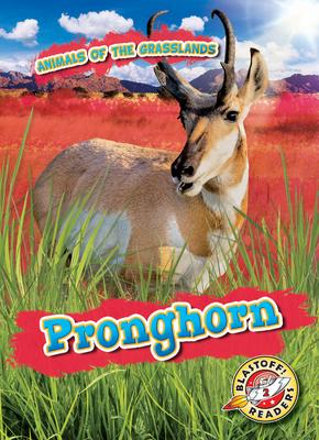 Vorderes Coverbild Pronghorn