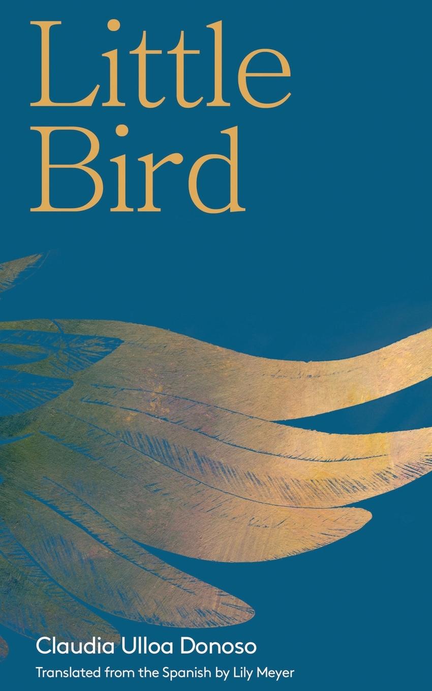 Vorderes Coverbild Little Bird