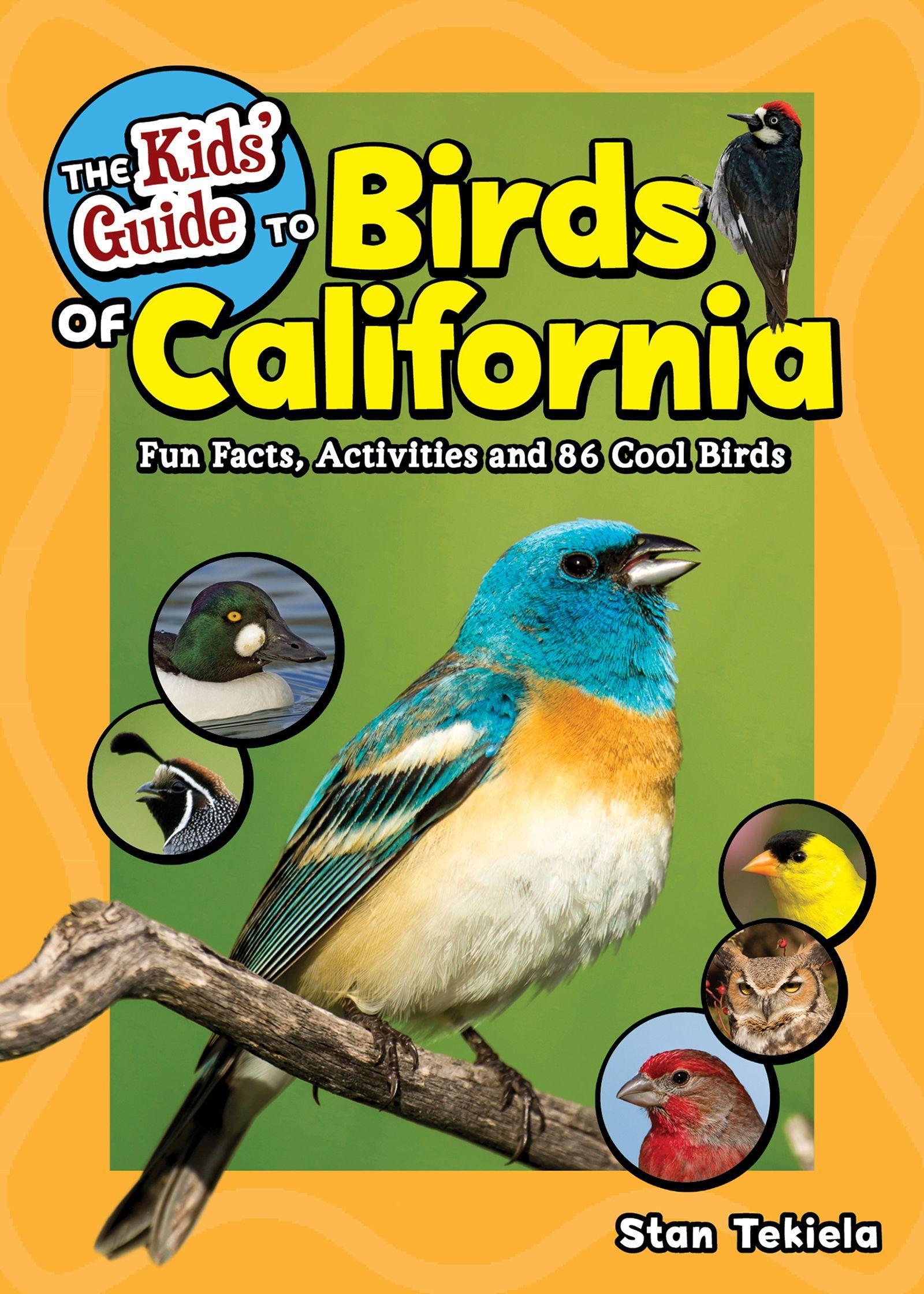 Vorderes Coverbild The Kids' Guide to Birds of California