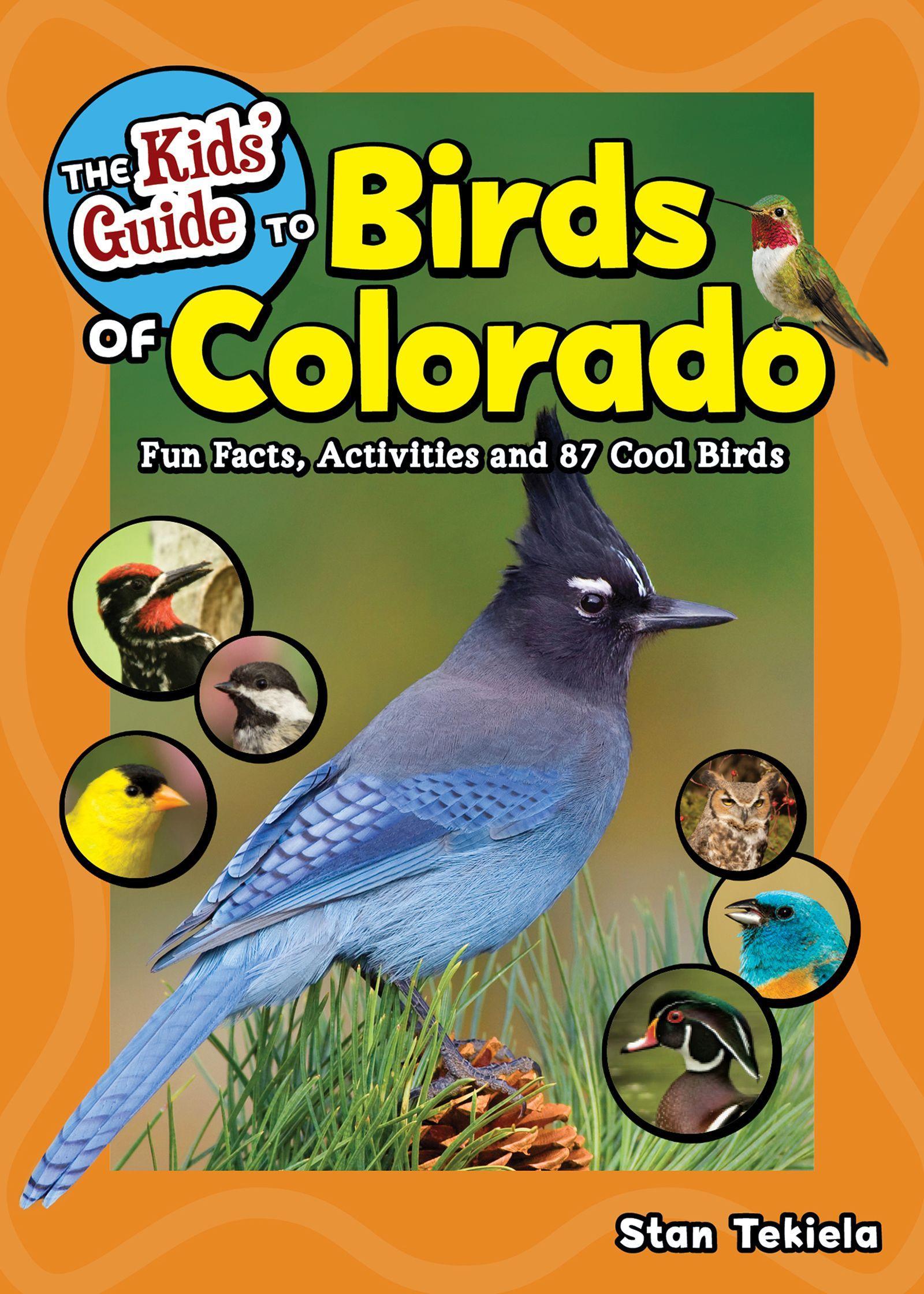 Vorderes Coverbild The Kids' Guide to Birds of Colorado