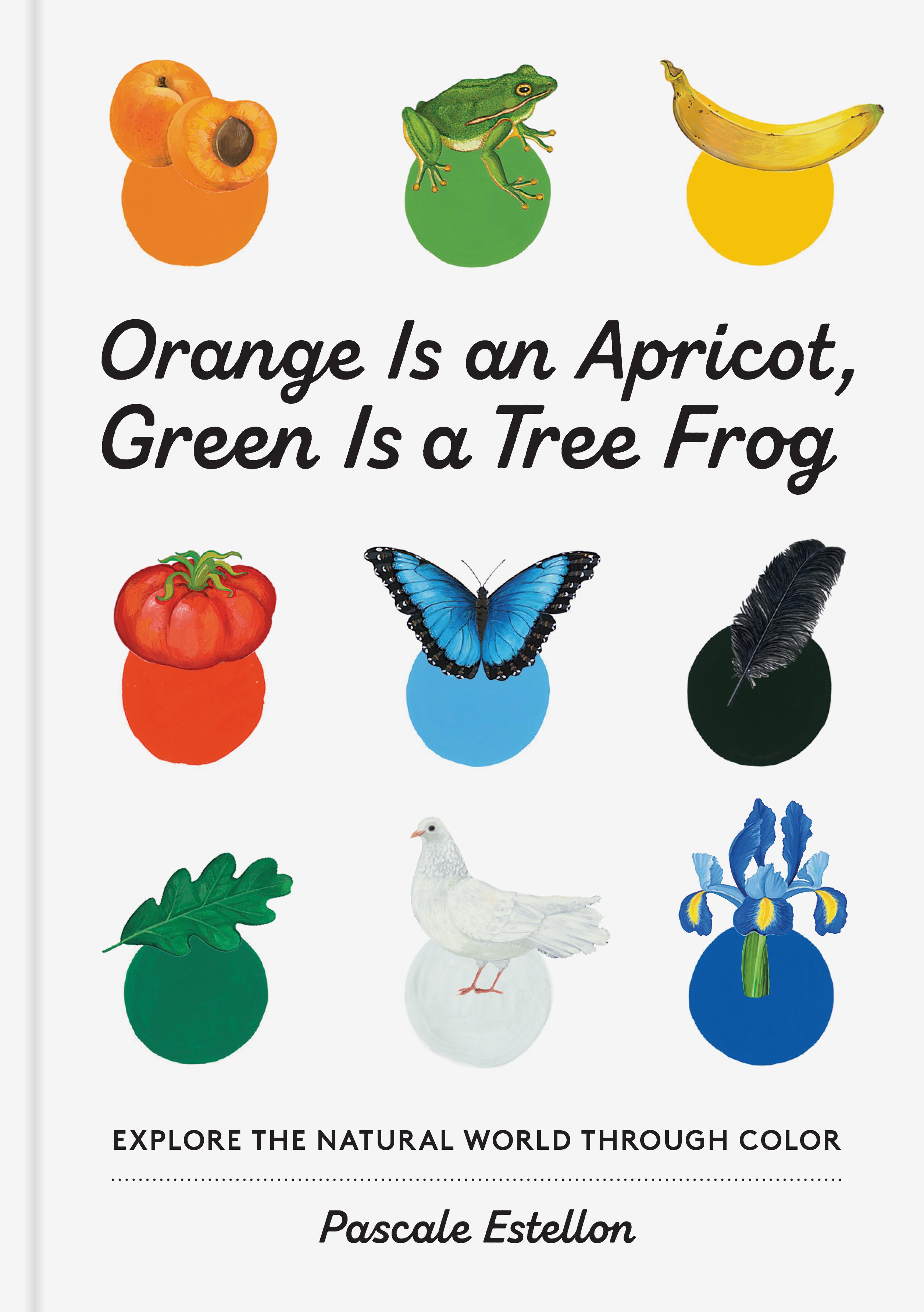 Vorderes Coverbild Orange Is an Apricot, Green Is a Tree Frog