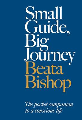 Vorderes Coverbild Small Guide, Big Journey