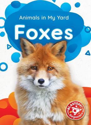 Vorderes Coverbild Foxes