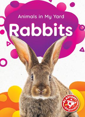 Vorderes Coverbild Rabbits