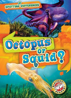 Vorderes Coverbild Octopus or Squid?