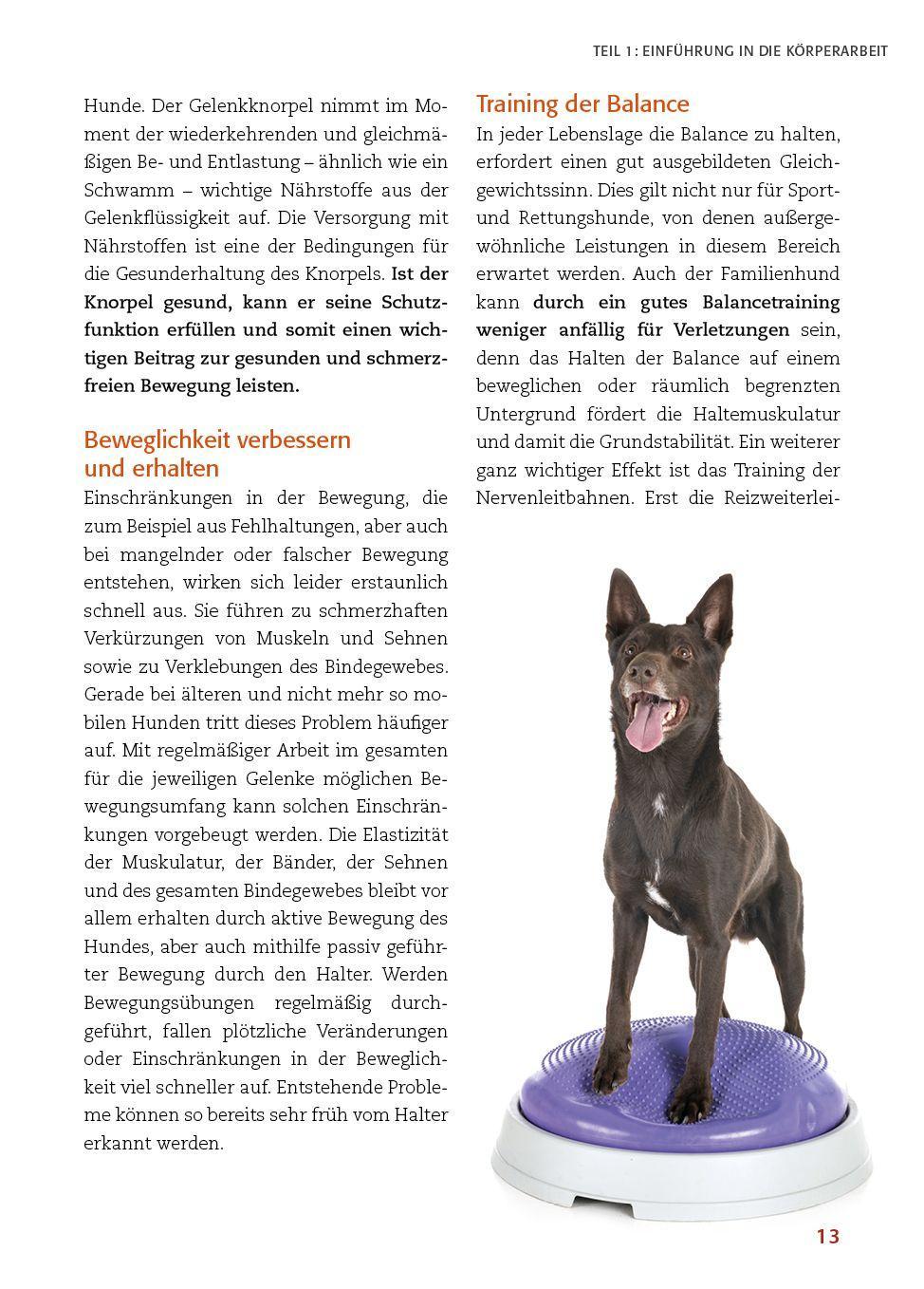 Beispielinhalt (Bild) Körperarbeit mit dem Hund