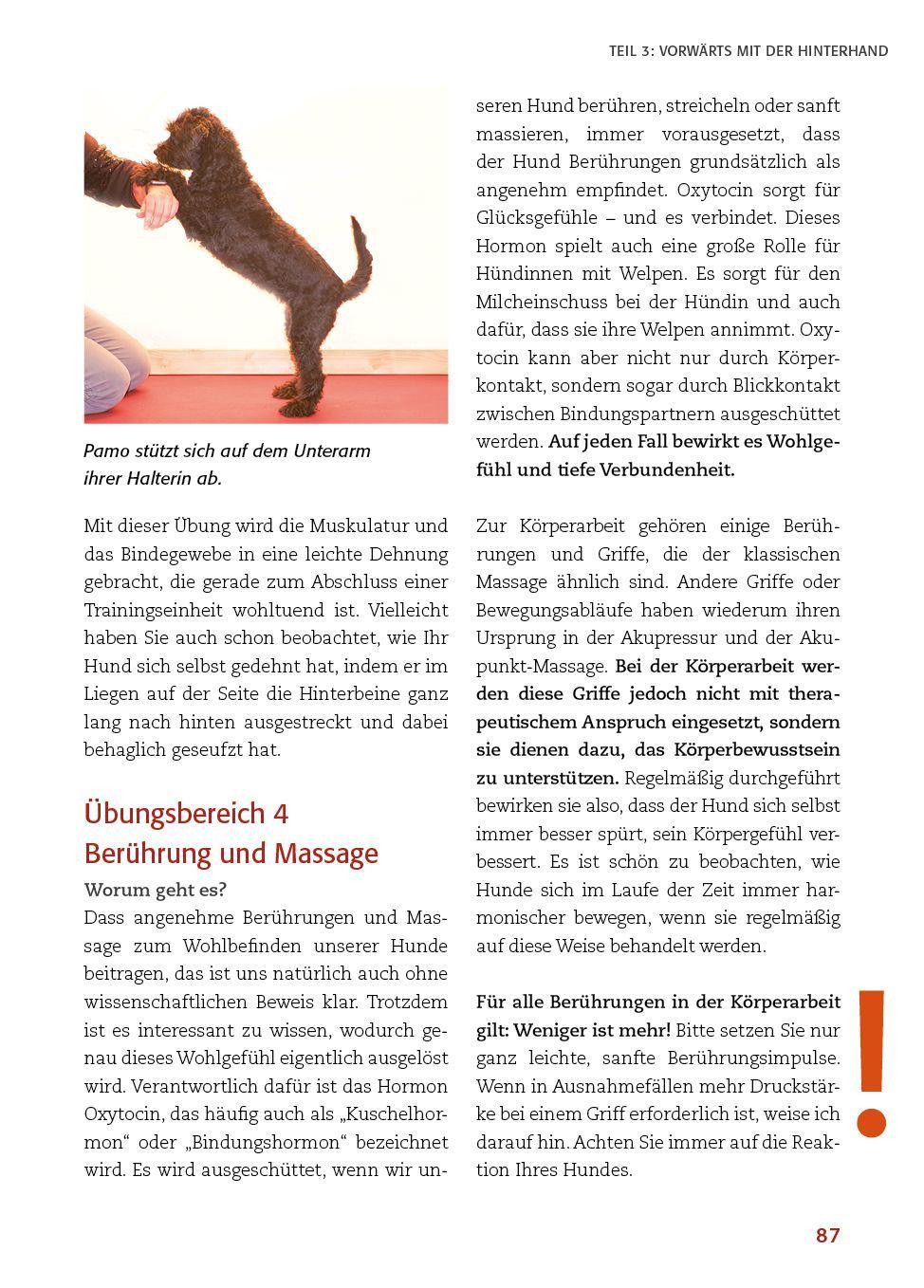 Beispielinhalt (Bild) Körperarbeit mit dem Hund