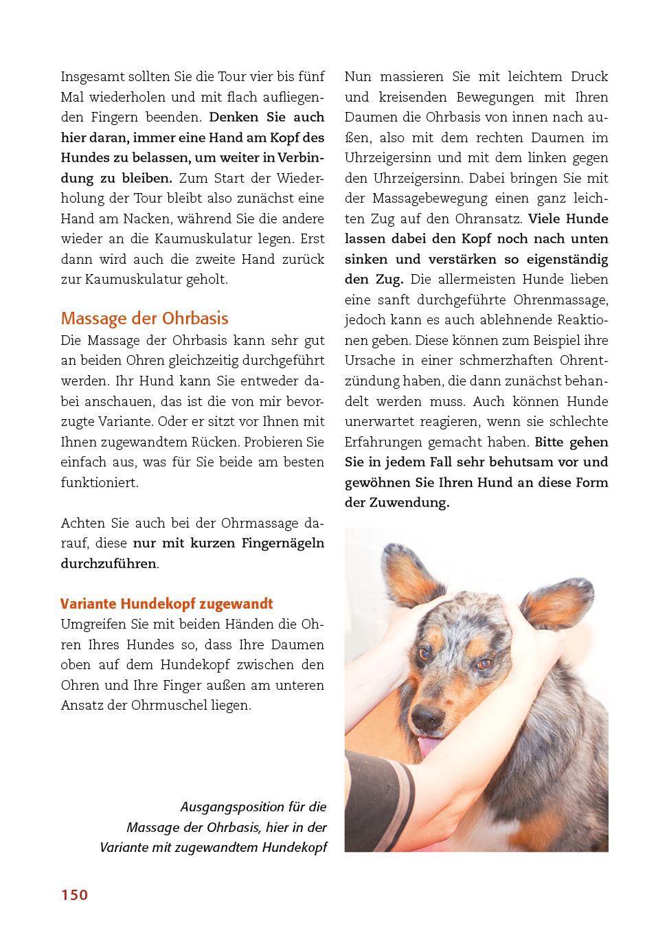 Beispielinhalt (Bild) Körperarbeit mit dem Hund