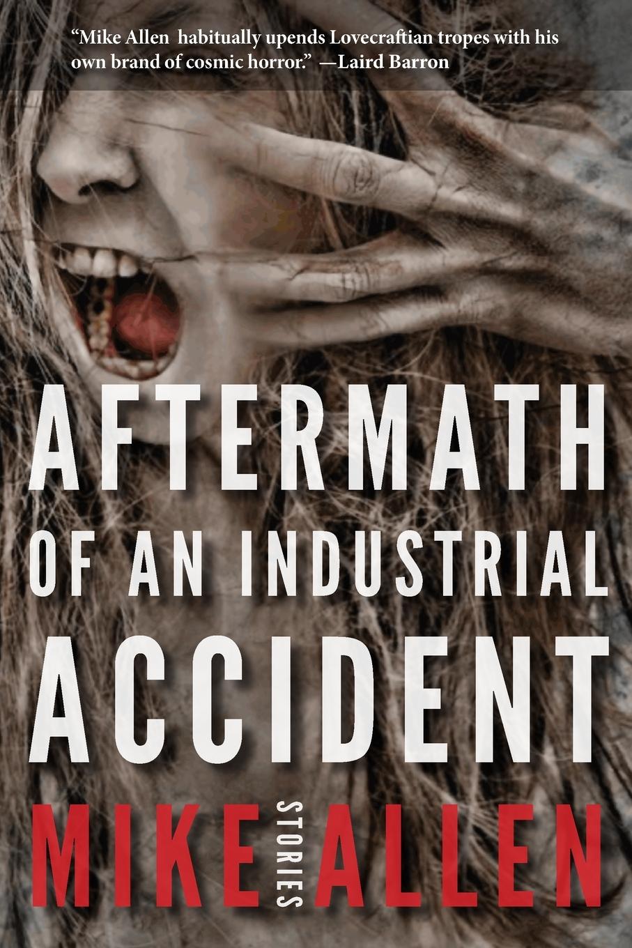 Vorderes Coverbild Aftermath of an Industrial Accident