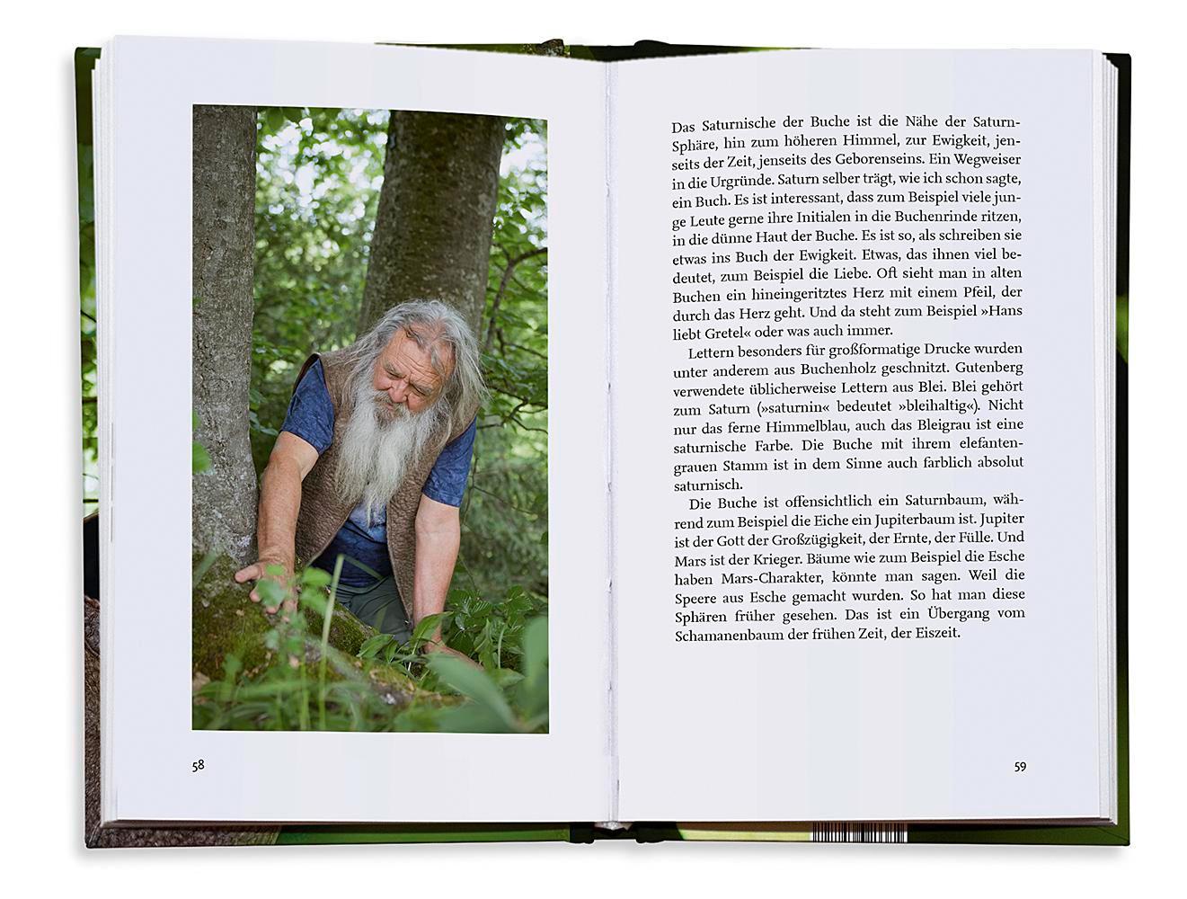 Beispielinhalt (Bild) Unsere fünf heiligen Bäume