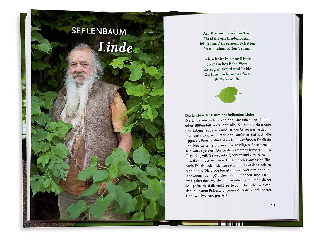 Beispielinhalt (Bild) Unsere fünf heiligen Bäume