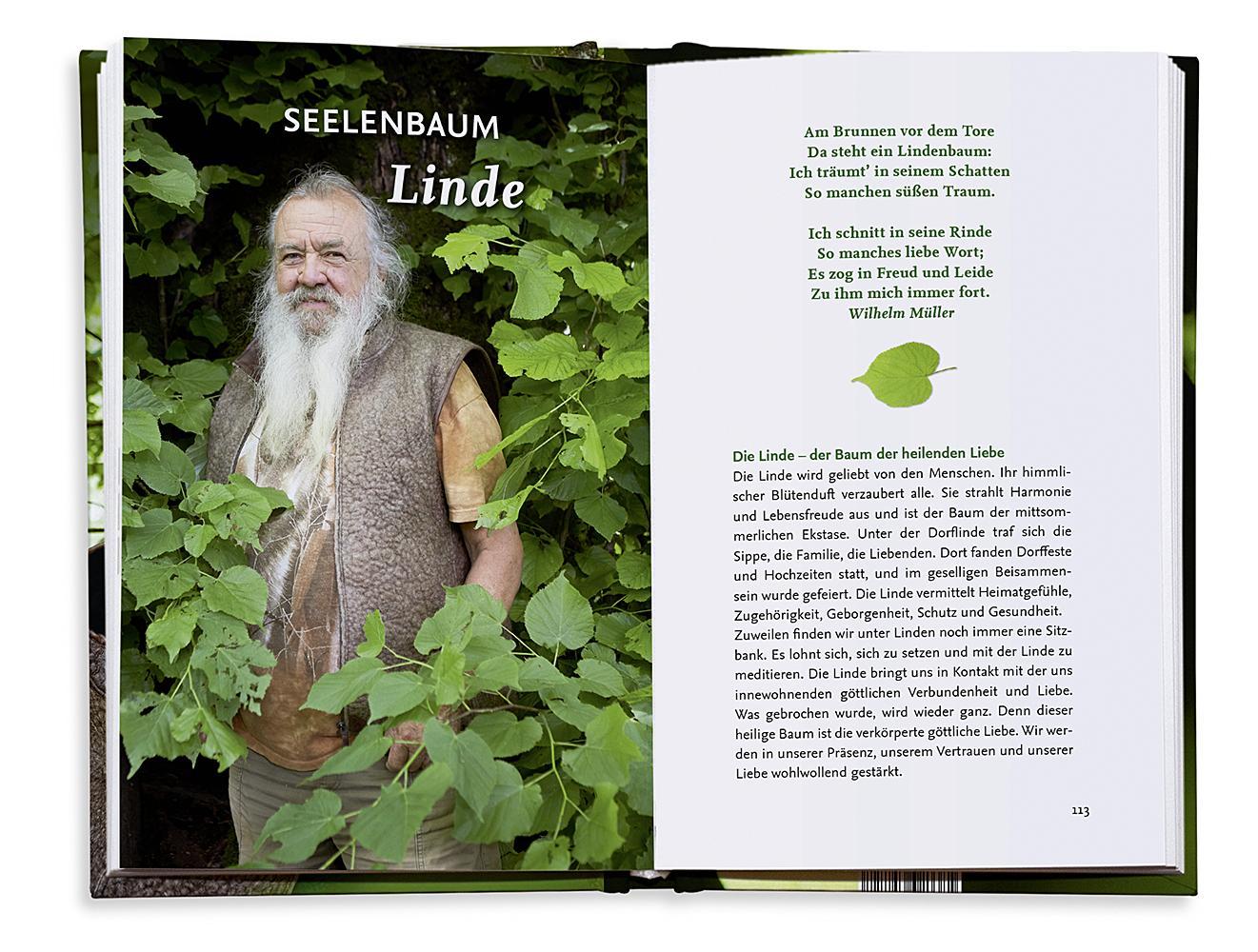 Beispielinhalt (Bild) Unsere fünf heiligen Bäume