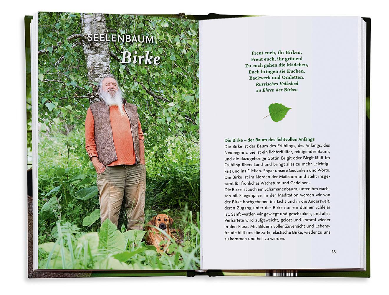 Beispielinhalt (Bild) Unsere fünf heiligen Bäume