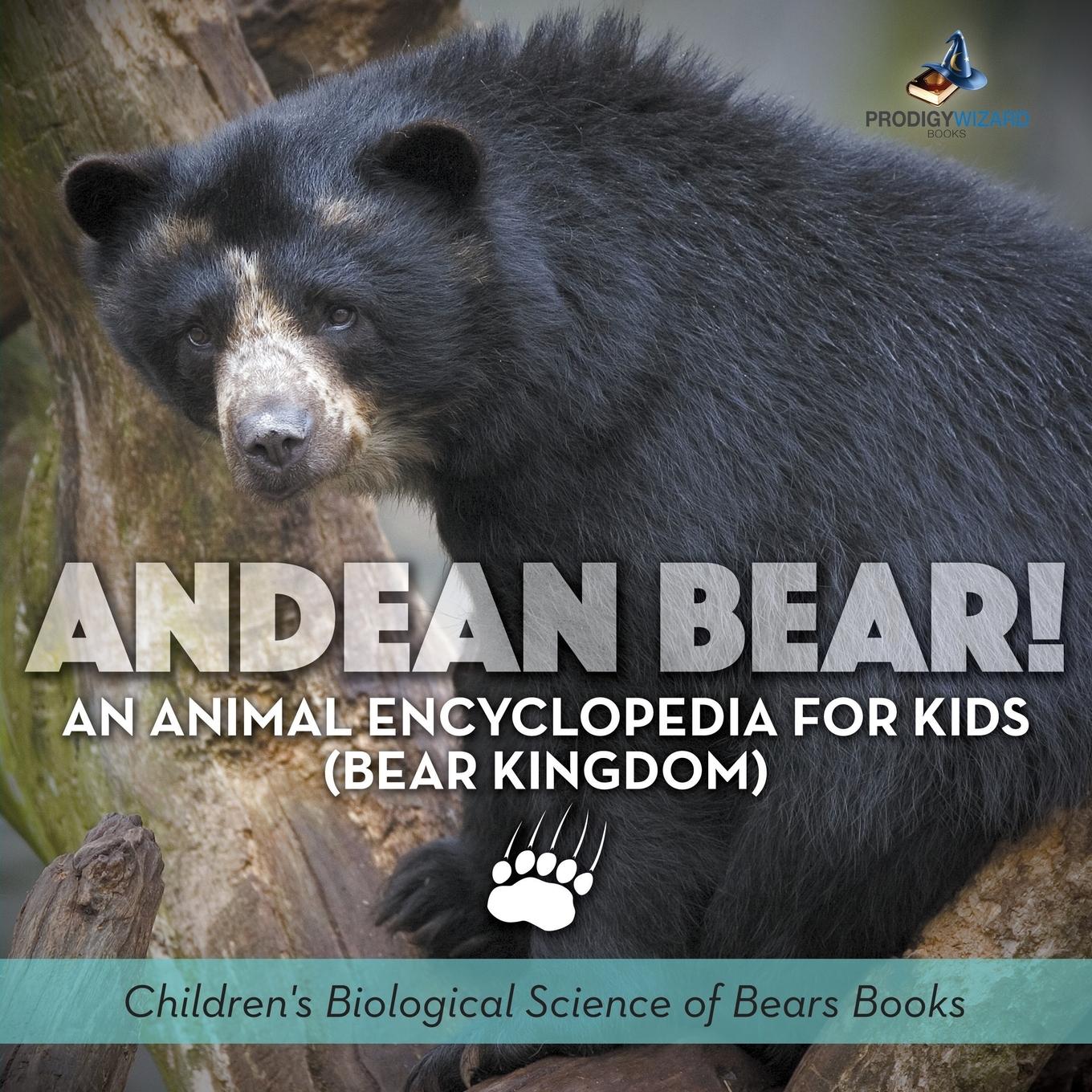 Vorderes Coverbild Andean Bear! An Animal Encyclopedia for Kids (Bear Kingdom) - Children's Biological Science of Bears Books